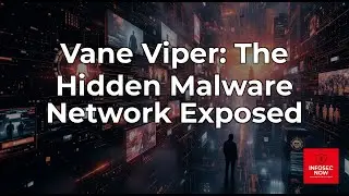 Vane Viper: The Malvertising Network Behind 1 Trillion DNS Queries