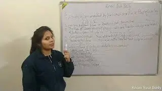 Ch:Know your body 10 jan