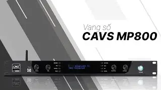 Vang Số CAVS MP800 | C&ocirc;ng Nghệ DSP &ndash; Chống H&uacute;, Lọc Ồn Hiệu Quả.