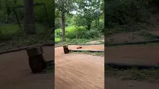 Tekno SCT410 2.0 4x4 RC Short Course Truck Racing, Off Road Dirt Backyard RC Track!