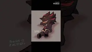 Shadow The Hedgehog ✨