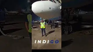 Indigo Intakes especially for south Indian #job  #freshercan apply #captsai #avition #flywithsai