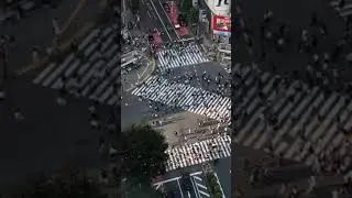 World's Busiest Crossing - Shibuya Crossing - Japan #shibuya #shibuyacrossing #shorts #japan