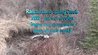 Ranch House Spring Creek 2026(2013 Spawning)