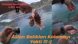 Fethiye Darboğaz LRF Avı ( Silikon Yem ile Aslan Balığı Yakaladım )
