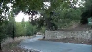 منمنمات أردنيه - دبين