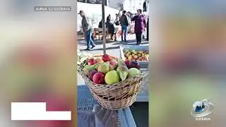 Arome de toamnă și tradiție la T&acirc;rgul Mărului