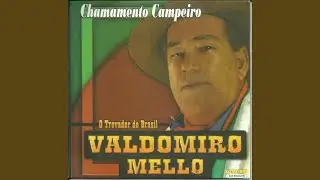 Não Fracassei