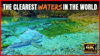 9 Spots With the Clearest Waters in the World