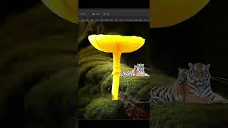 Glow Mushroom Manipulation | Tutorial || Adobe Photoshop || Graphics Design