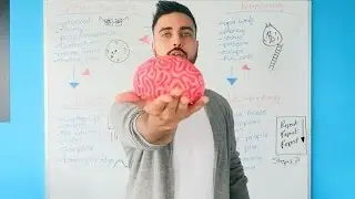 THE FOREX TRADING BRAIN?