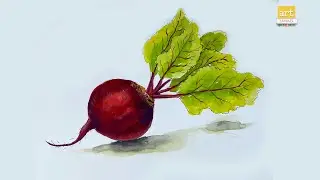 How to Draw a Beetroot vegetable II Vegetables Drawing II #artjanag