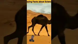 Amazing facts #factsaboutscience #ytshorts #arvindarora