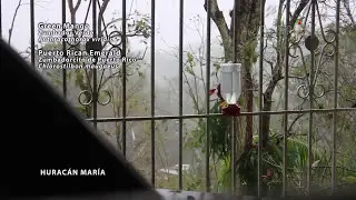 ZUMBADORES durante el Hurac&aacute;n Mar&iacute;a en Puerto Rico (20 de septiembre de 2017)