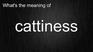 What's the meaning of 