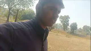 गाओ की जंगल 