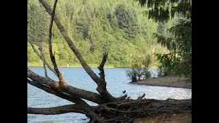 Horne Lake
