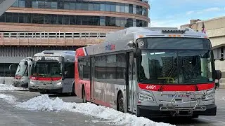 WMATA Metrobus & Montgomery County Transit Ride-On Compilation at Silver Spring #7
