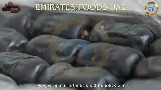 How To Process Date in Plant | Types of Date | Modern Date Palm Tree Export By Emirates Foods UAE