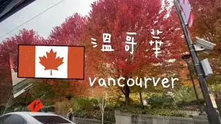 🇨🇦我去溫哥華遊學了！大韓航空飛機餐、仁川機場轉機、溫哥華宿舍/妃妃不專業Vlog