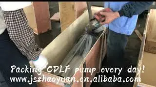 #ZHAOYUAN Pump# Packing CDLF pump every day!