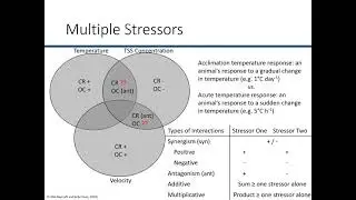 Multiple stressor effects on freshwater mussels FMCS 2021