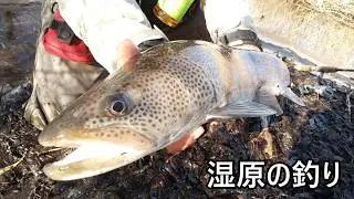 湿原の釣り