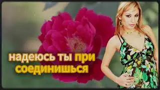 Тёща и Зять закрутили роман l Расскажу тебе. Любовные истории.