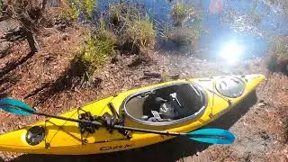 Kayaking to and exploring Pine Island in the Okefenokee Swamp