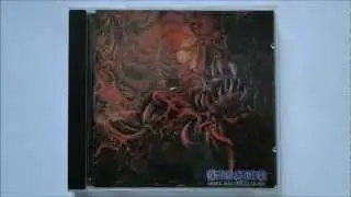 Carnage - Deranged from Blood