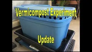 Vermicompost Experiment: Eviction notice!