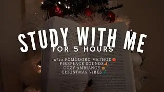 5 Hours Study With Me 🎄 | 50/10 Pomodoro Timer | Cozy Christmas Fireplace Ambience + Cats 🐱