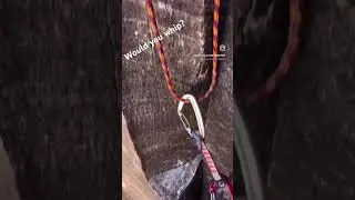 Would you whip! #climbing #rockclimbing #explore #lasvegas #adventure #motivation #gopro