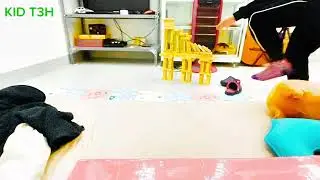 Domino  kiến tr&uacute;c TẾT #domino #funny #lego 