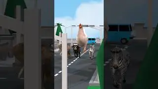 ELEPHANT ZEBRA AND BUFFALO CHASE A CHICKEN