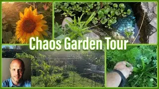 What is Chaos Gardening? - Chaos Garden Tour