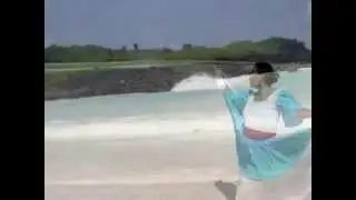 VIVA TORTUGA BAY
