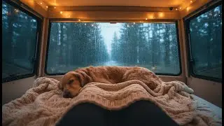 Heavy Rain on Van Roof for Deep Sleep 2026 | 8D Audio Storm Ambience [Instant Cure]