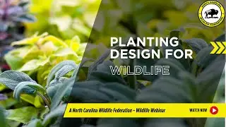 Planting Design For Wildlife | NC Wildlife Federation