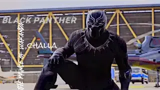A tribute to black panther | chadwick bosemen | the protector of wakanda.|RIP.