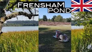 FRENSHAM POND