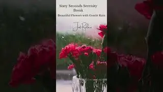 60 Second Serenity Break -Beautiful flowers with gentle rain. #shorts