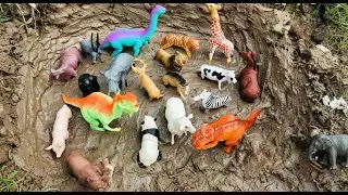 STUCK IN THE MUD! 🐘🦓 Animal Wash and Learn  Kids&rsquo; Wildlife Adventure