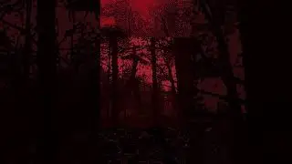 Blair's witch tribute song #darkambient #horrormovies #piano #witch