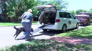 Pet 2 Vet Connections helps with mobile in-home pet care