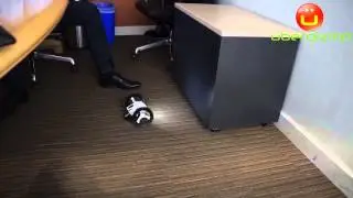 Parrot Minidrones: Jumping - Night and Race models - Demo