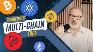 Ep 396: Solving the Blockchain Storage Trilemma - Xandeum's Multi-Chain Edge