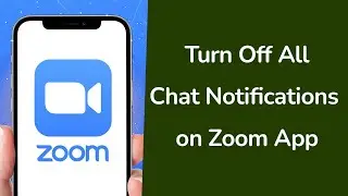 How to Turn Off All Chat Notifications on Zoom App?