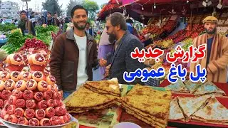Pole Bagh Omommi Kabul, گزارش توحید از پل باغ عمومی کابل، پاکاری و تغییرات جدید این منطقه