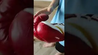 Перчатки для БОКСА - Everlast MX Pro Fight